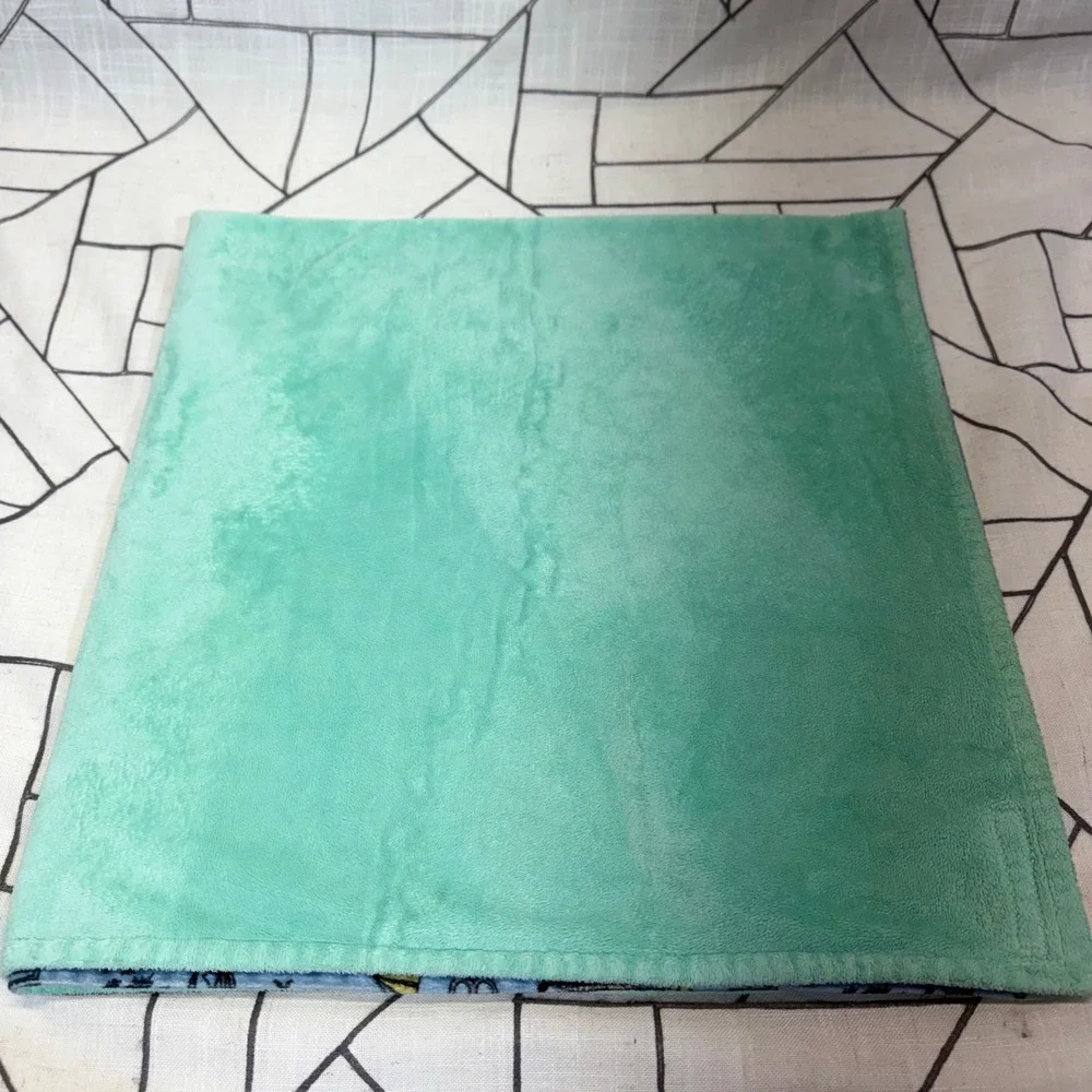 Heritage Homegoods Co Baby Blanket 17x16.5 Blue Green Alaska Wilderness Minky